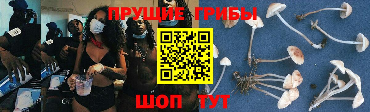 Похвистнево  Галлюциногенные грибы Magic Shrooms  Вход с VPN 